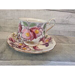Royal Albert Bone China Dog Rose Tea Cup & Saucer Set Hand Painted Floral Design